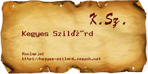 Kegyes Szilárd névjegykártya